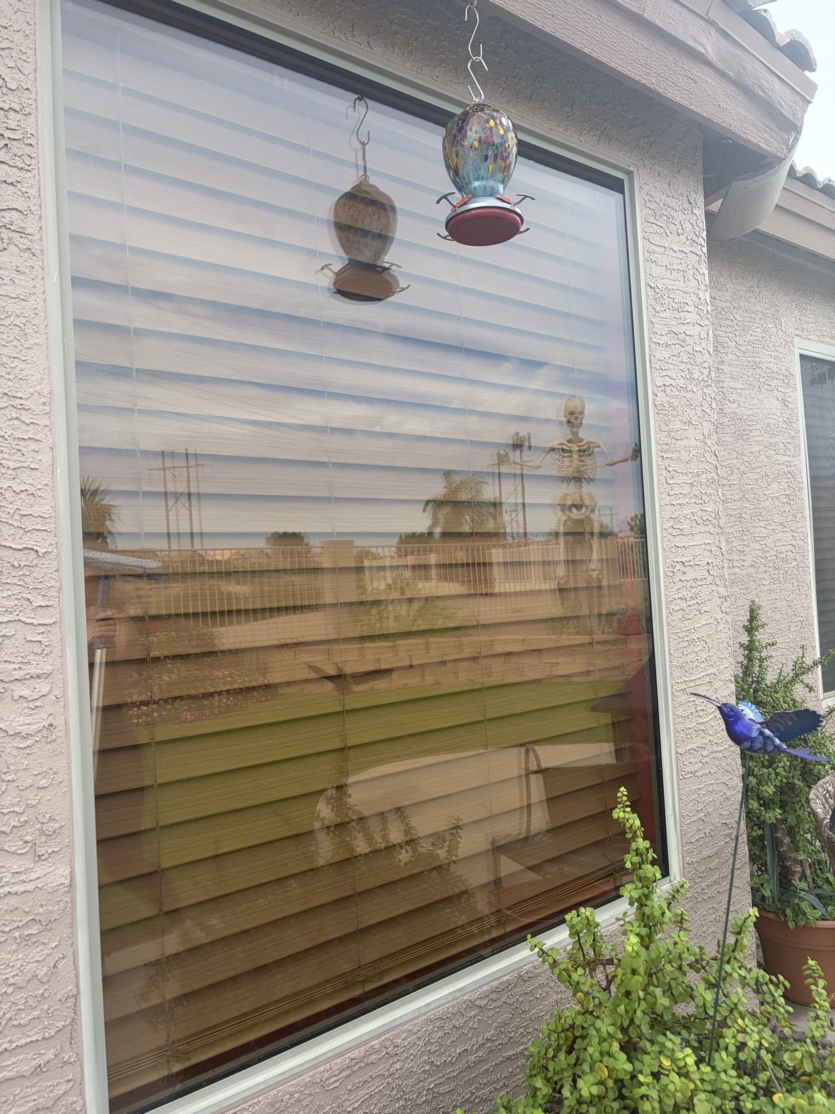 Exterior window clear enough to mirror the yard, feeders, and sky